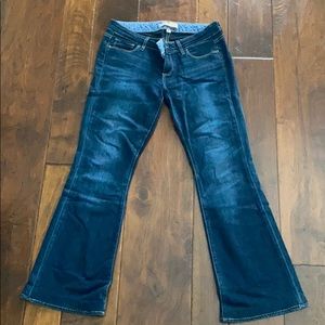 Paige jeans-petite length